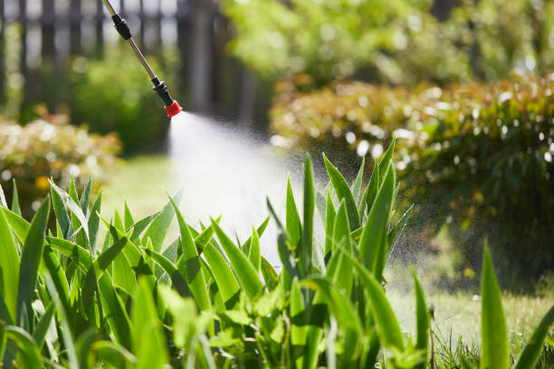 Tamper-Resistant Bait Stations for Rodents in Soperton