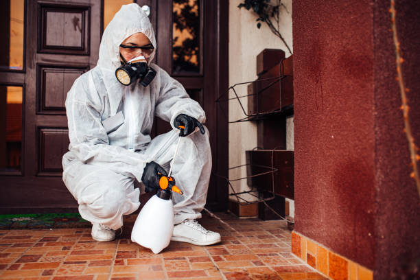 Attic and Crawl Space Rodent Treatment in Soperton