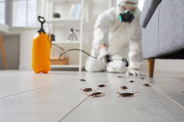 Commercial Rodent Management in Soperton